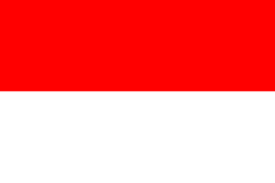 flag-image